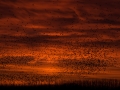 HVDO201501060001-9.jpg